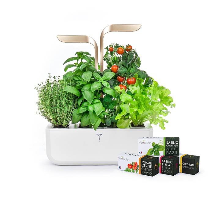 Kitchen Kitchen Gardening Basilic grand vert 