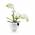 Eva Solo Orchid Pot