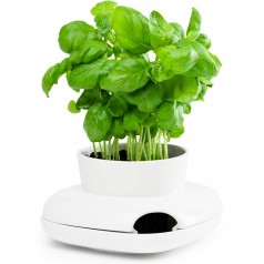 Sagaform Small Herb Pot