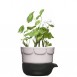 Sagaform Green Double-barrelled Growing Pot