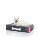 Fatboy Doggielounge Dog Beanbag (Small) - The Ultimate Dog Bed