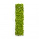 Progetti Clock_Circle Wall Clock - Covered in MOSS by Verde Profilo