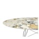 Kartell Glossy Oval Table - Many Table Top / Base Combinations