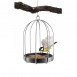 Eva Solo Bird Feeding Cage - Takes Bird Food of All Sizes