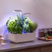 Veritable CLASSIC Indoor Garden Kit | Hydroponic Growing System