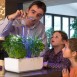 Veritable SMART Indoor Garden Kit | 4 Seed Varieties Included