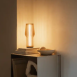 Eva Solo Radiant Tall Lamp (Portable & Dimmable) | Tools Design