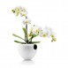 Eva Solo Orchid Pot - Self Watering